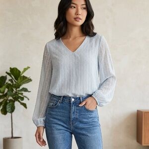 Sheer Swiss Dot V-Neck Blouse Light Blue Boho Coastal Cowgirl Prairie